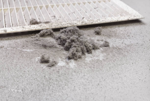 Best HVAC Air Duct Cleaning  in Plattsburgh, NY